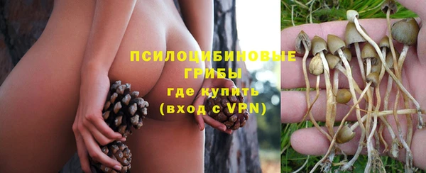 дурь Абаза